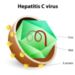 hepatitis C