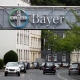 Bayer