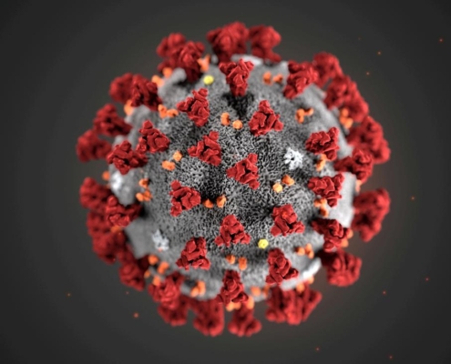 Novel coronavirus