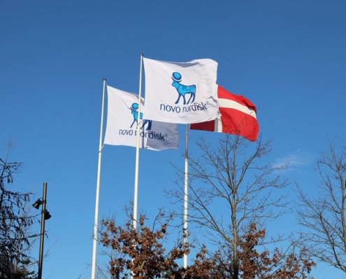 Novo Nordisk flag