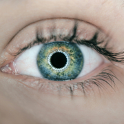 Eye