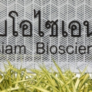 Siam Bioscience