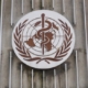 World Health Organization