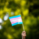 Transgender flag