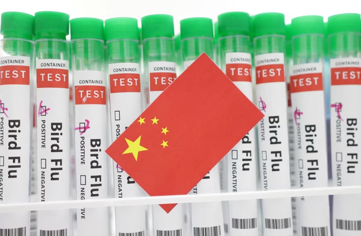 चीन में एक और वायरस H3N8 की एंट्री, हई पहली मौत Entry of another virus H3N8 in China, first death