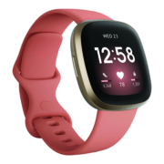 Fitbit, wearable devices